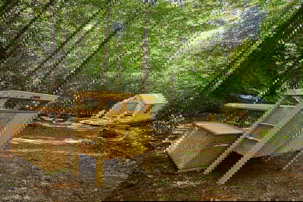 Tentrr Abandoned Zoo Wooded Site - thumb 3