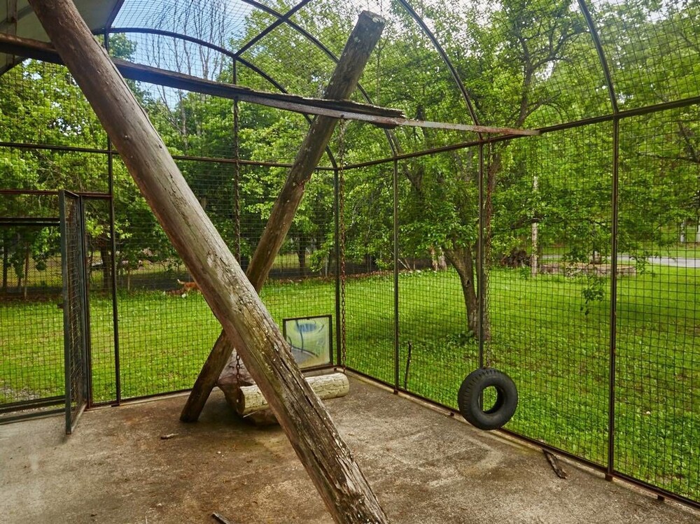 Tentrr Abandoned Zoo Wooded Site - thumb 5