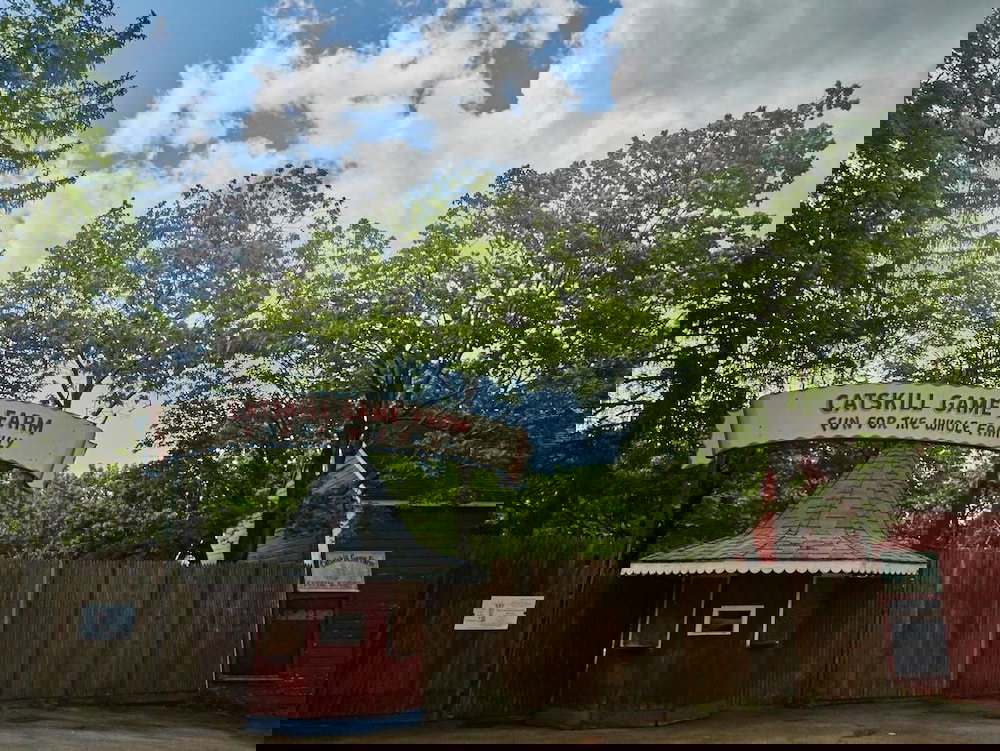 Tentrr Abandoned Zoo Wooded Site - thumb 0