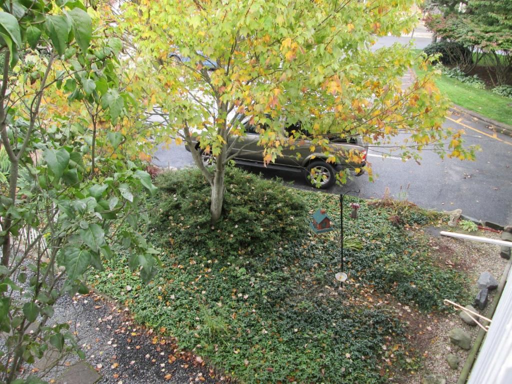 Eastwood At Provincetown - thumb 1