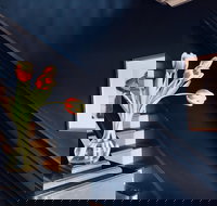 Enzo - Accommodation Arizona