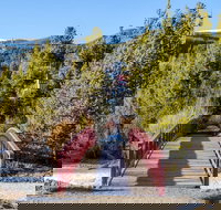 Tenderfoot Lodge by Summit County Mountain Retreats - Accommodation Arizona