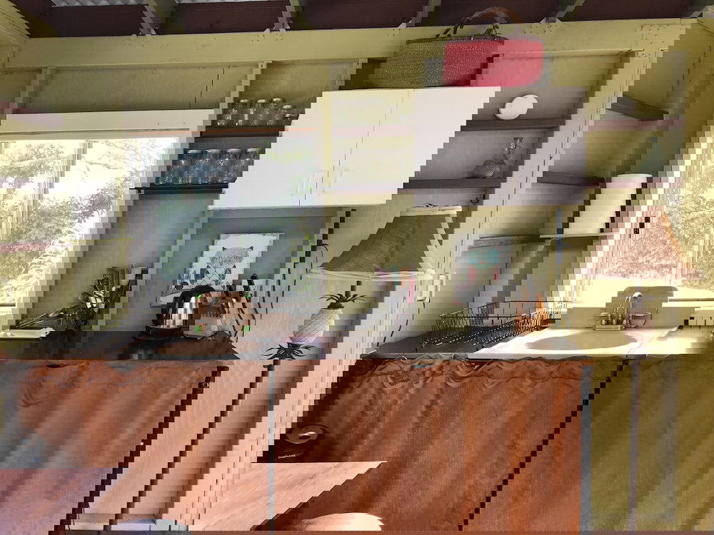 Dragonfly Ranch - thumb 5