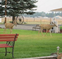 Rim Rock Motel - Accommodation Arizona
