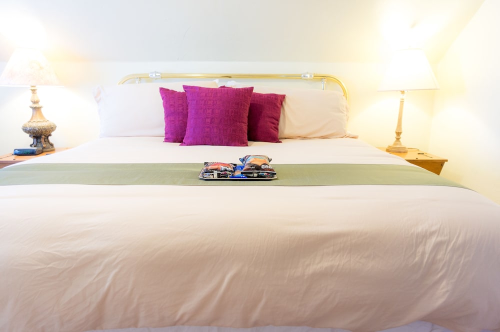 Indiana Jones Bed & Breakfast - thumb 4