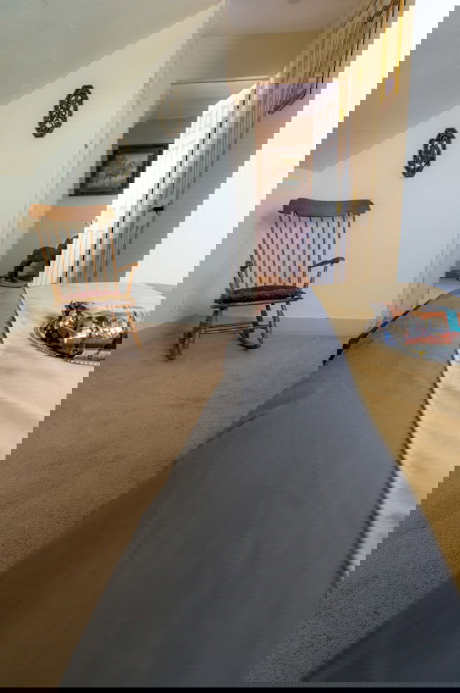 Indiana Jones Bed & Breakfast - thumb 3