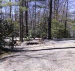 Linville Falls Campground RV Park  Cabins - Accommodation Arizona