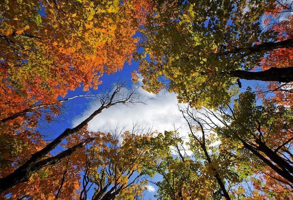 The Sleepy Hollow Motel - thumb 2