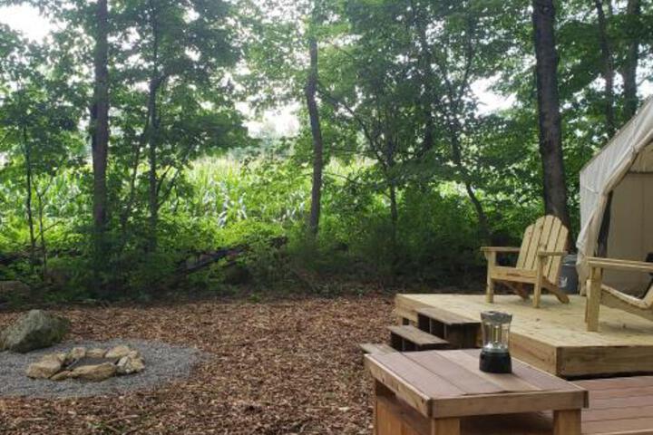 Tentrr Meadow Ridge Farm Woods - thumb 4