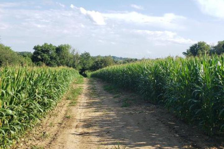 Tentrr Meadow Ridge Farm Woods - thumb 7