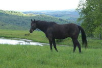 North Branch Ny Accommodation Arizona