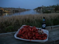 Booking Maurepas Accommodation Arizona