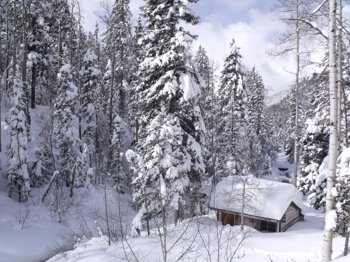 Amizette Inn - thumb 38