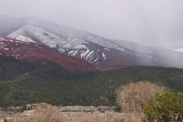 Amizette Inn - thumb 15