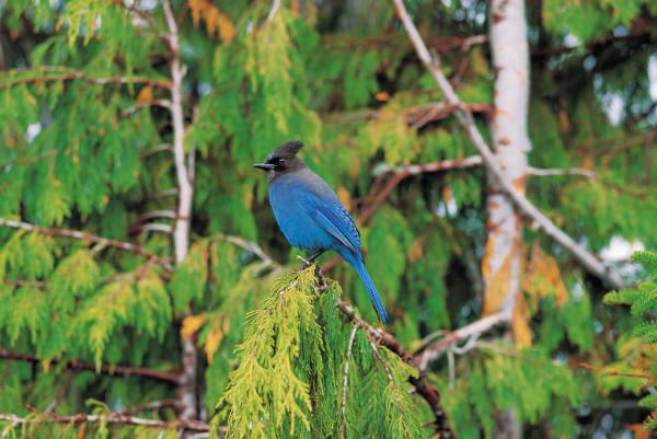 Amizette Inn - thumb 18