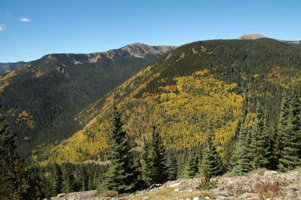 Amizette Inn - thumb 16