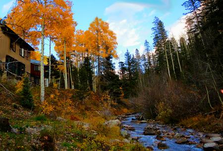 Amizette Inn - thumb 44