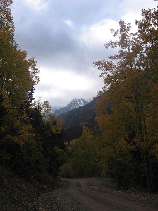 Amizette Inn - thumb 14