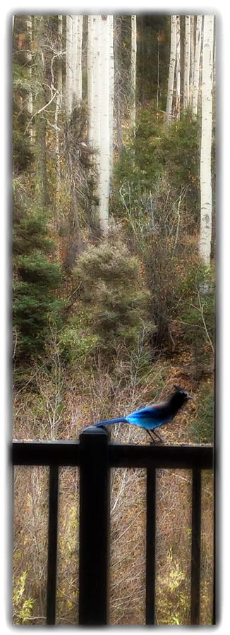 Amizette Inn - thumb 30