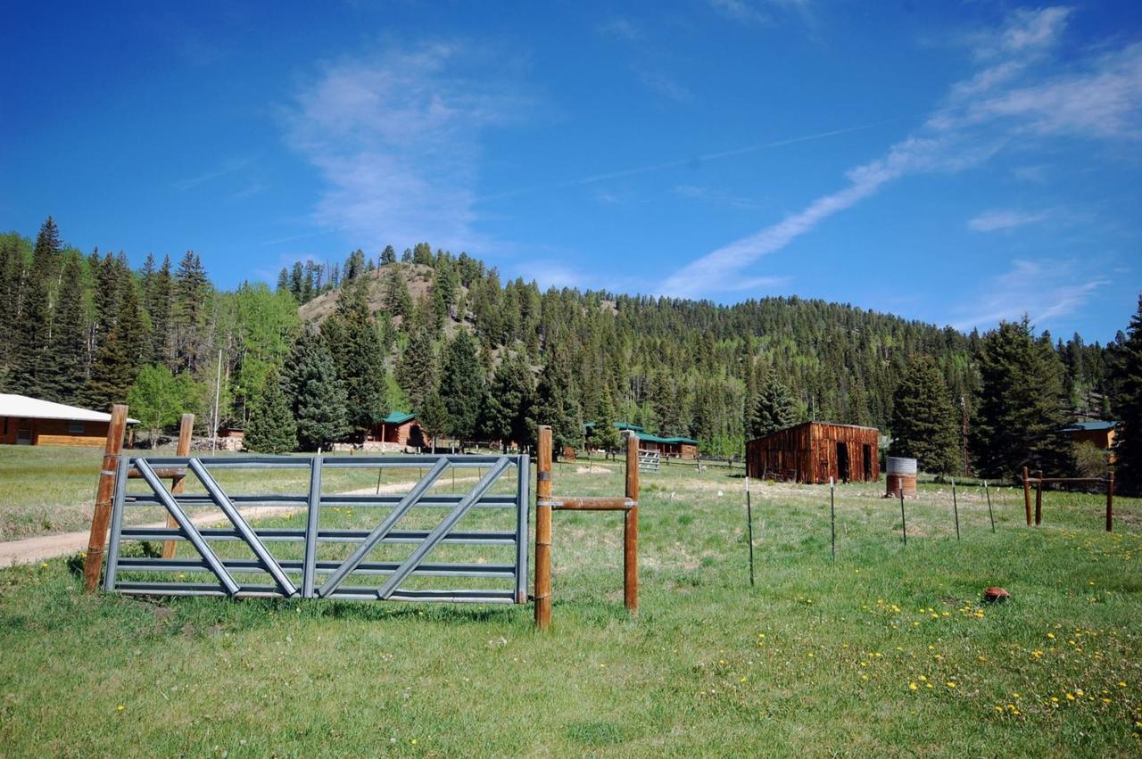 The Hall`s Harem Cabin - thumb 36