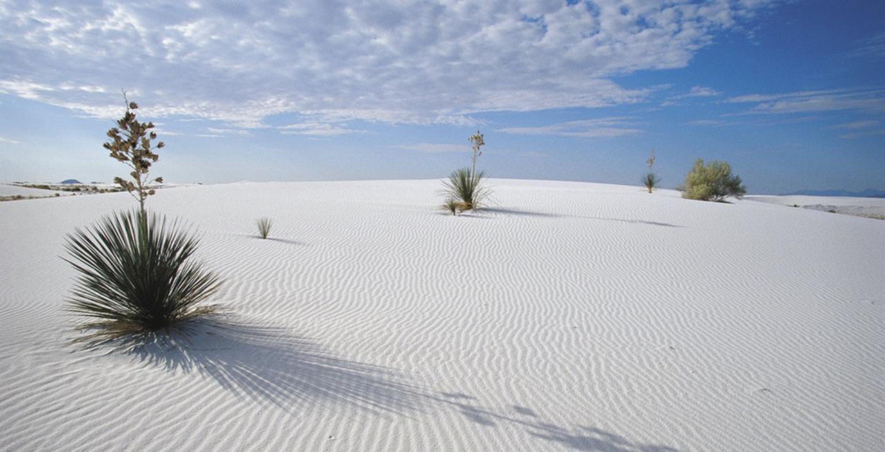 Holiday Inn Express Las Cruces North - thumb 27