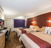 Red Roof Inn Hickory - Accommodation Arizona