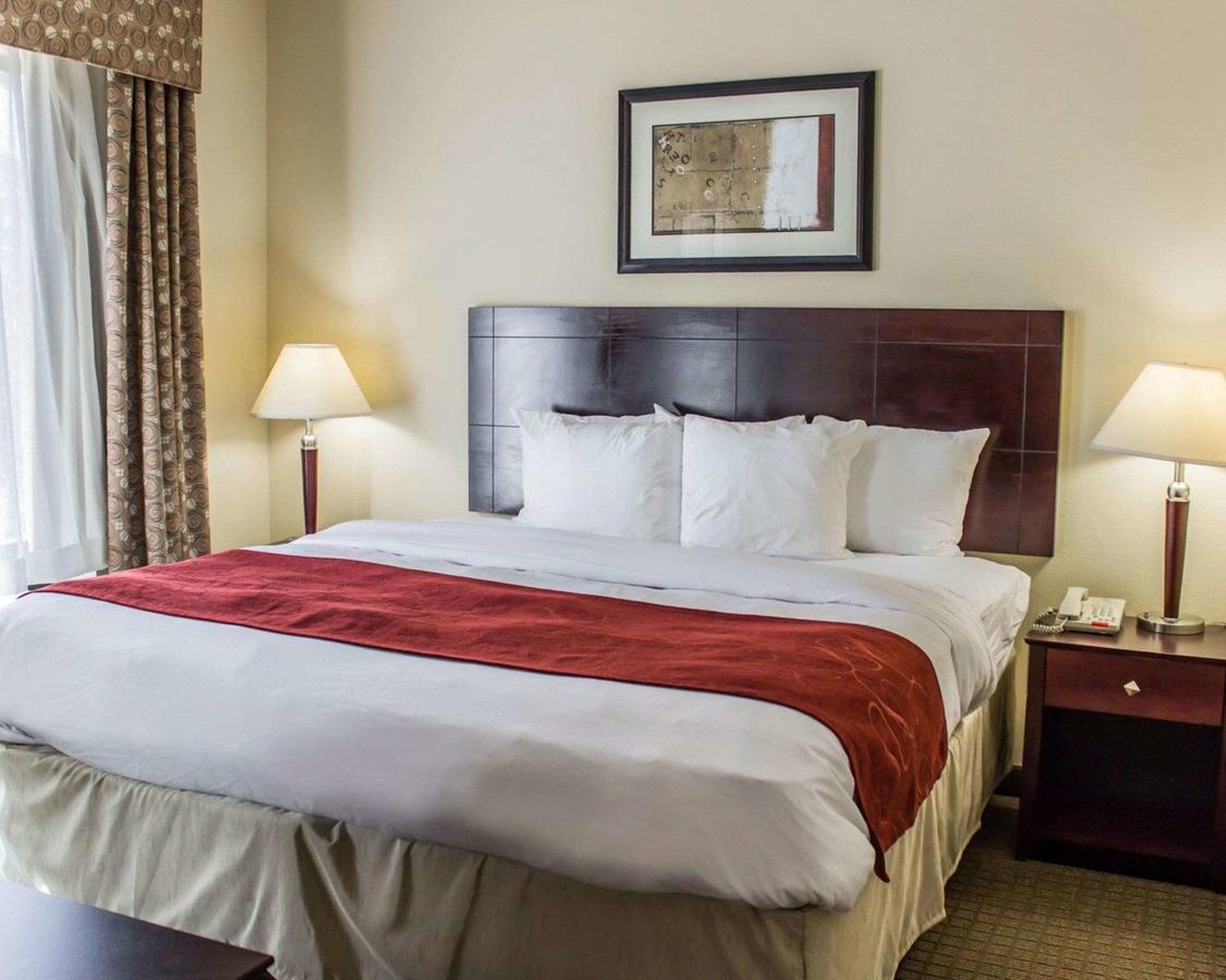 Comfort Suites Clayton - Garner - thumb 6