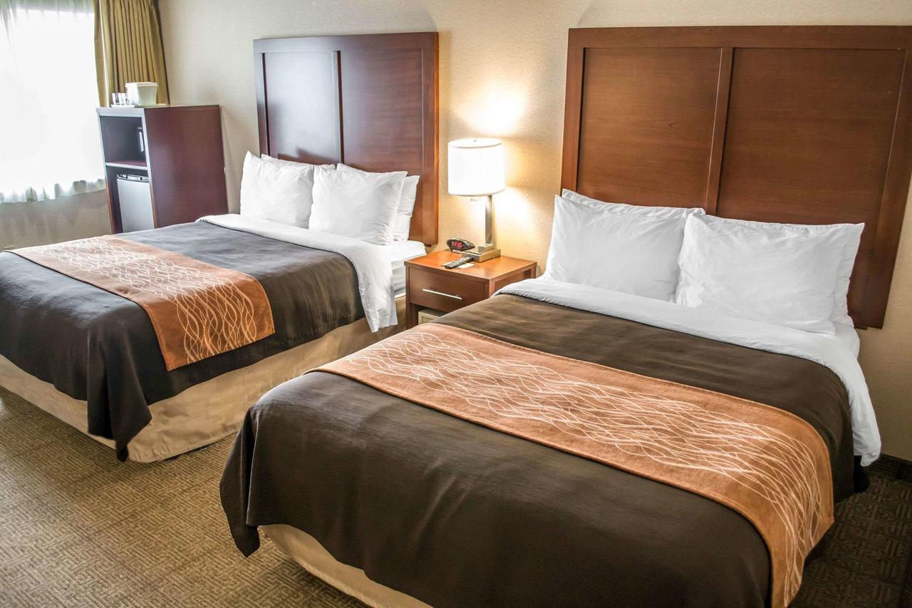 Comfort Inn & Suites Beaverton - Portland West - thumb 22