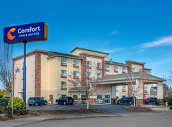 Comfort Inn & Suites Salem