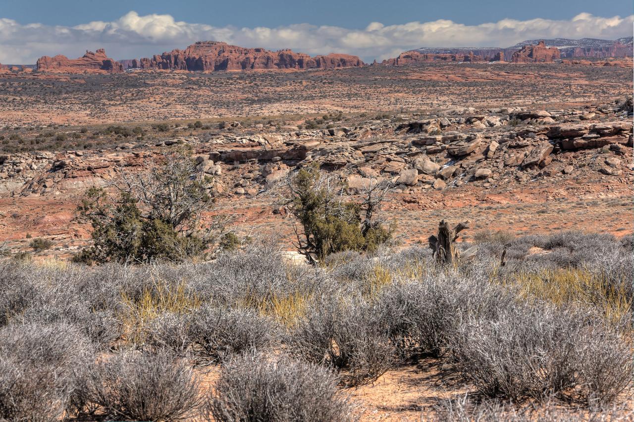 Under Canvas Moab - thumb 3