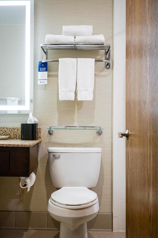 Best Western Plus Dubuque Hotel And Conference Center - thumb 3