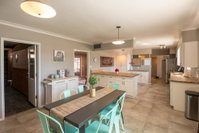 Central Tucson Mid Century Stunner with POOL Accommodation Arizona