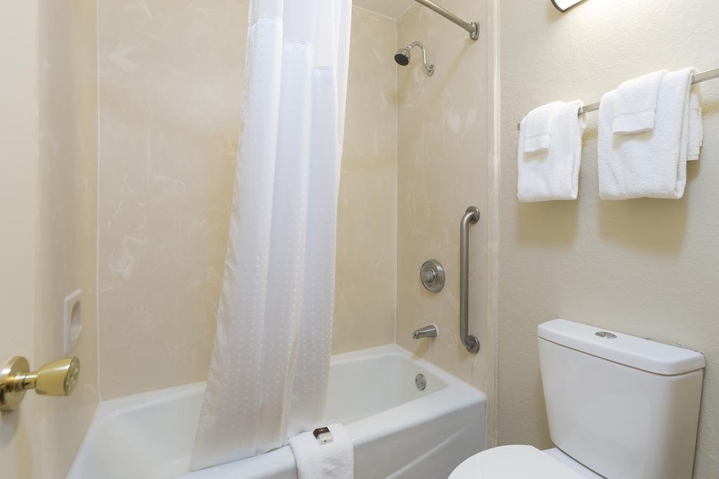 Rosen Inn International Near The Parks - thumb 2