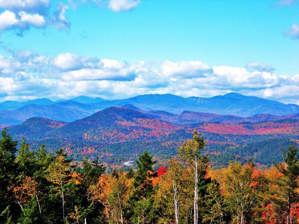 Tentrr - The Look Out At Chill Hill - thumb 3