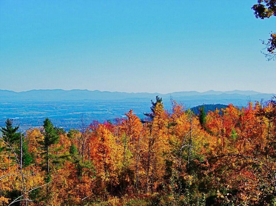 Tentrr - The Look Out At Chill Hill - thumb 1
