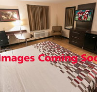 Red Roof Inn PLUS Tuscaloosa - University - Accommodation Arizona