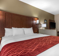 Comfort Inn  Suites Montgomery East Carmichael Rd - Accommodation Arizona
