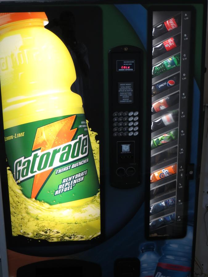 Super 8 By Wyndham Foley - thumb 12