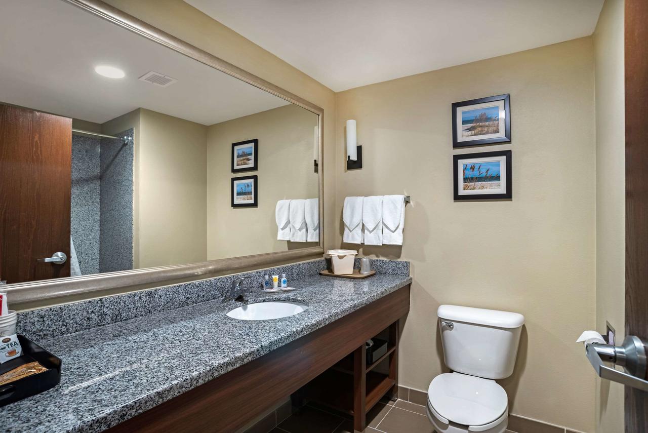 Comfort Suites Foley - North Gulf Shores - thumb 28