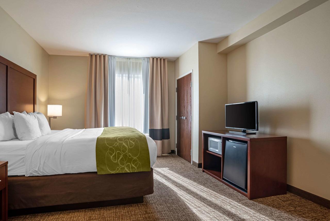 Comfort Suites Foley - North Gulf Shores - thumb 13