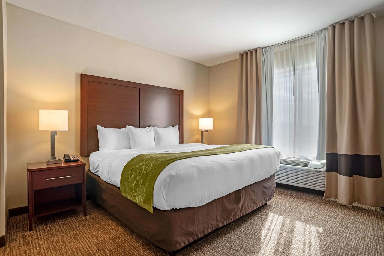 Comfort Suites Foley - North Gulf Shores - thumb 12