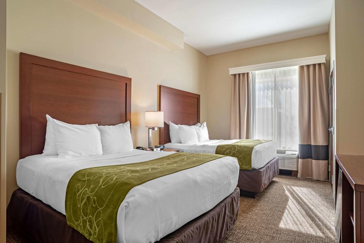 Comfort Suites Foley - North Gulf Shores - thumb 2