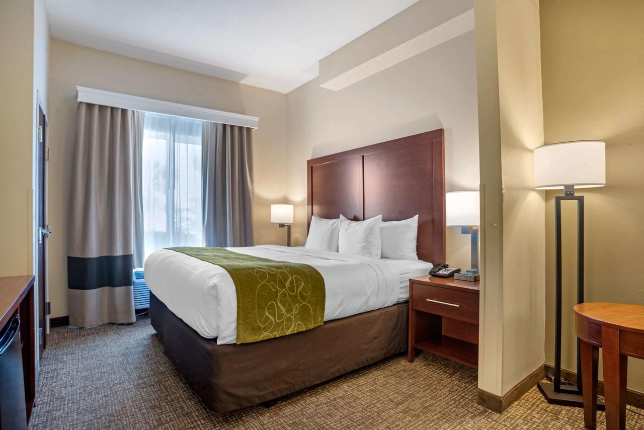 Comfort Suites Foley - North Gulf Shores - thumb 27