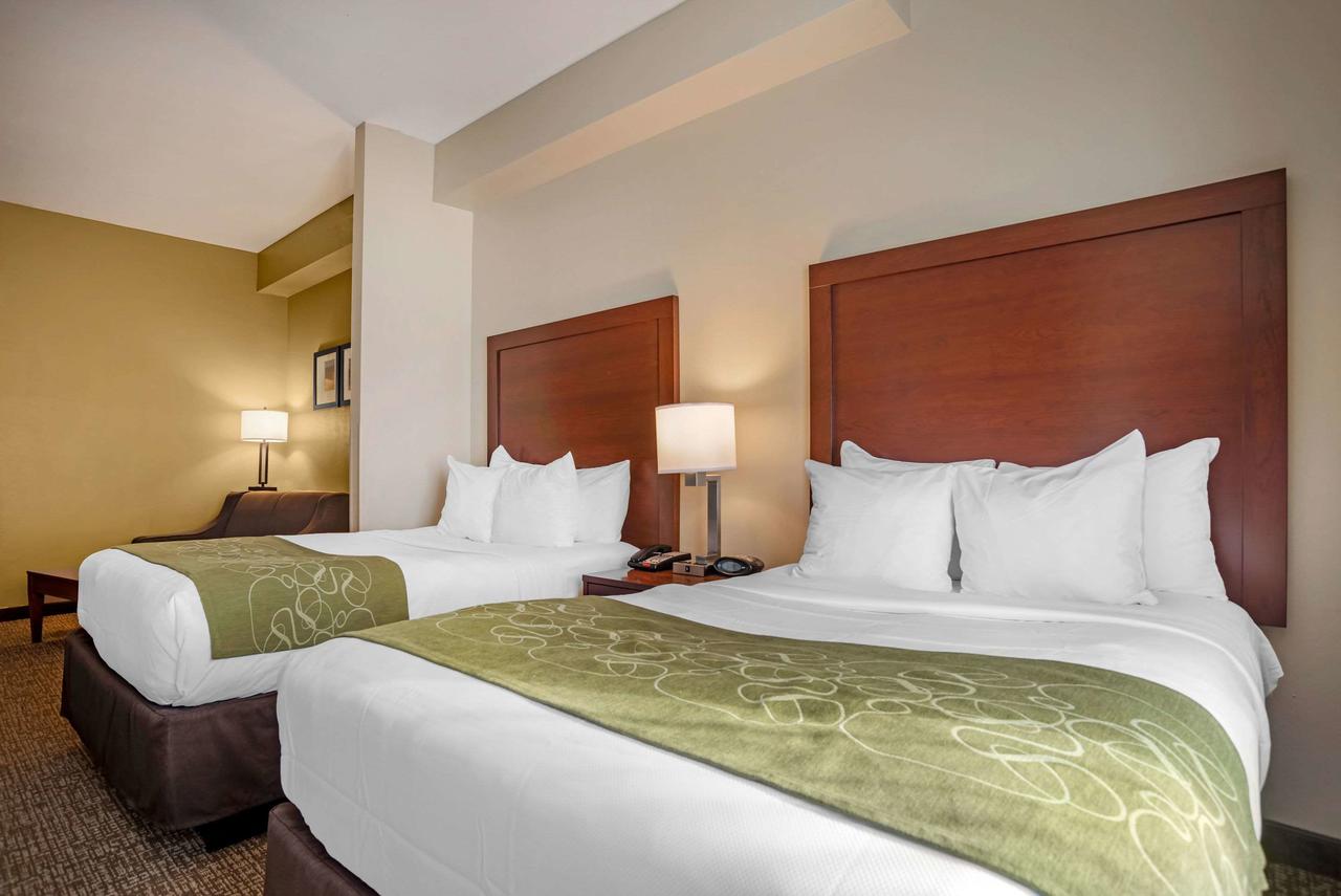 Comfort Suites Foley - North Gulf Shores - thumb 20