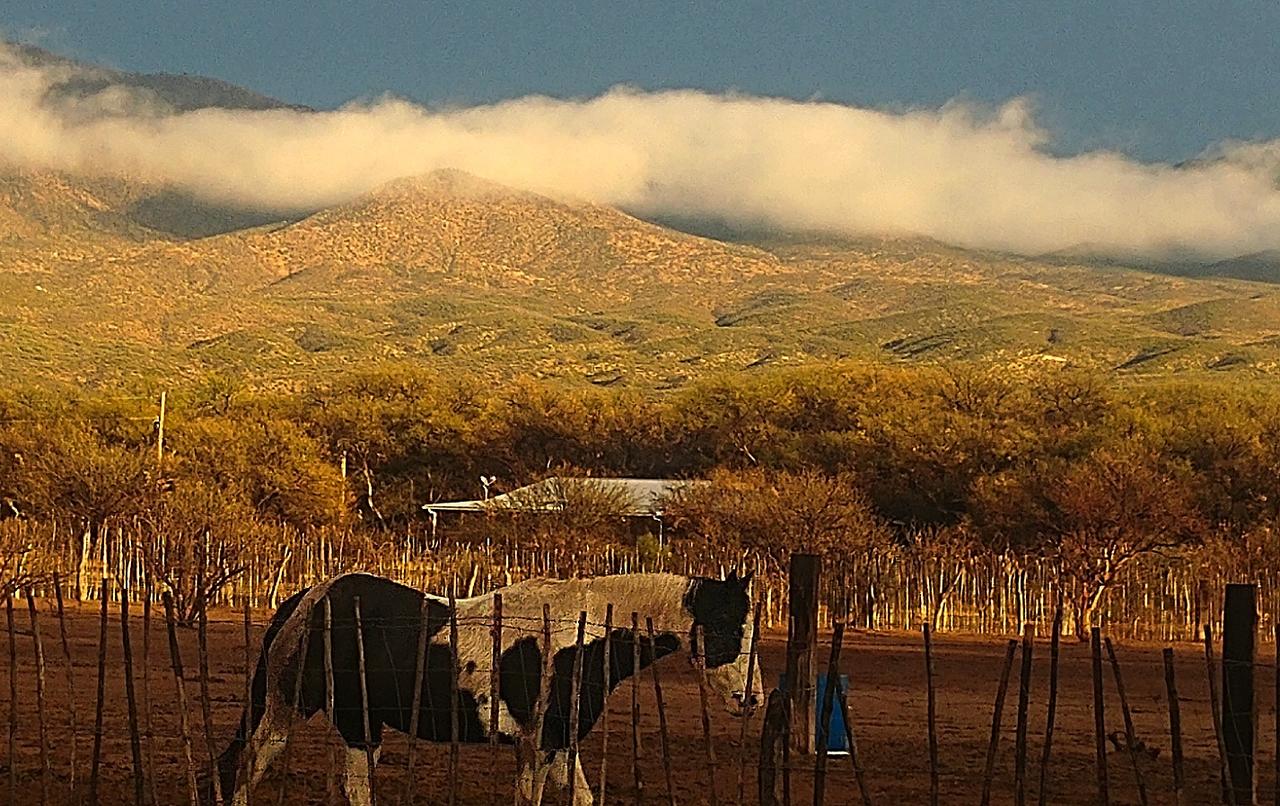 Double R Guest Ranch - thumb 1