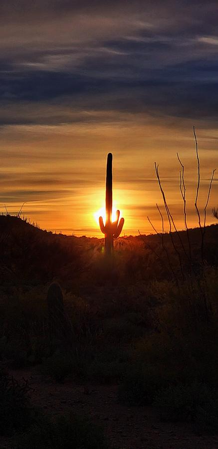 Double R Guest Ranch - thumb 2