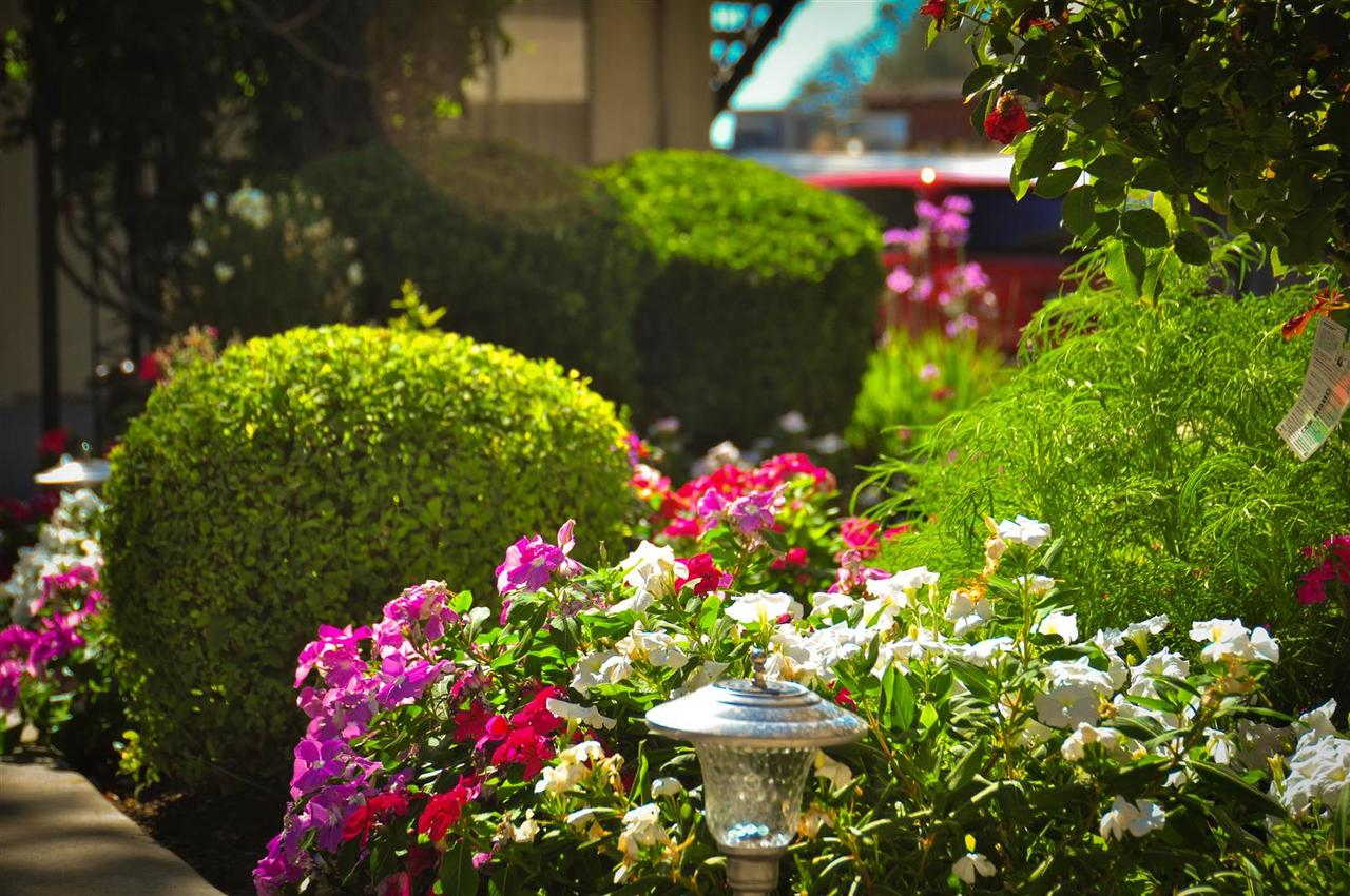 Best Western Plus Yosemite Way Station - thumb 1