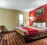 Red Roof Inn Bishop - Accommodation Arizona