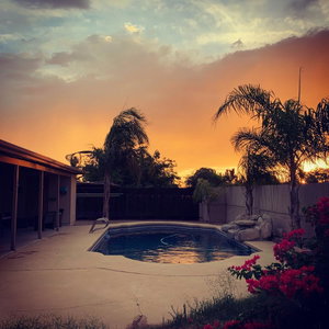 Oasis In The Palms
