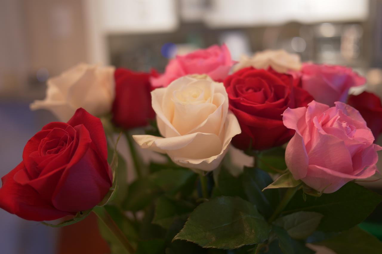 Cupcakes And Roses Condo - thumb 3